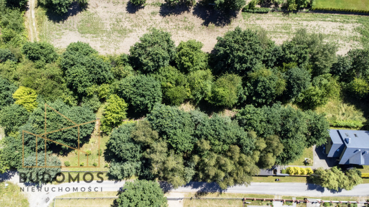 Działka Sprzedaż Tarnów 4