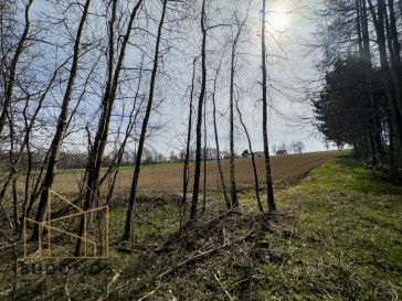 Działka Sprzedaż Buchcice