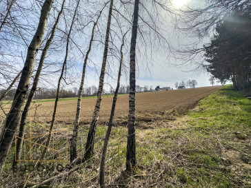 Działka Sprzedaż Buchcice