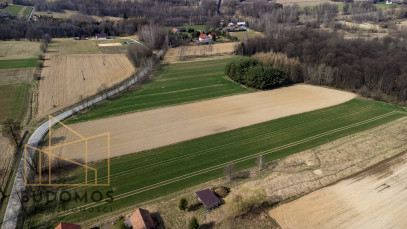 Działka Sprzedaż Buchcice
