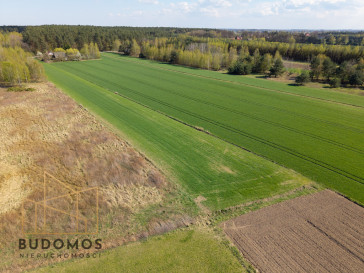 Działka Sprzedaż Kliszów