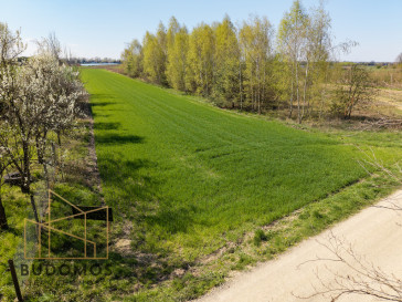 Działka Sprzedaż Kliszów