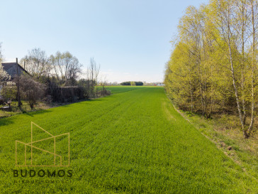 Działka Sprzedaż Kliszów