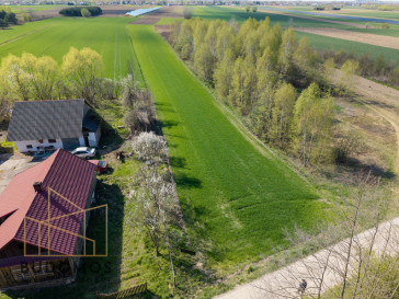 Działka Sprzedaż Kliszów