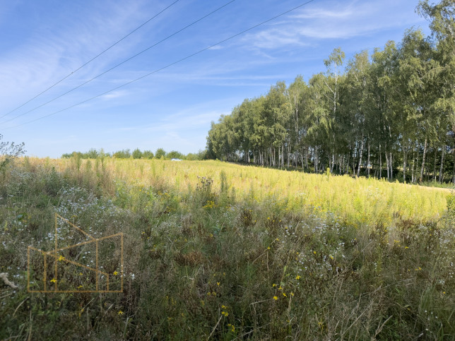 Działka Sprzedaż Łopoń 4